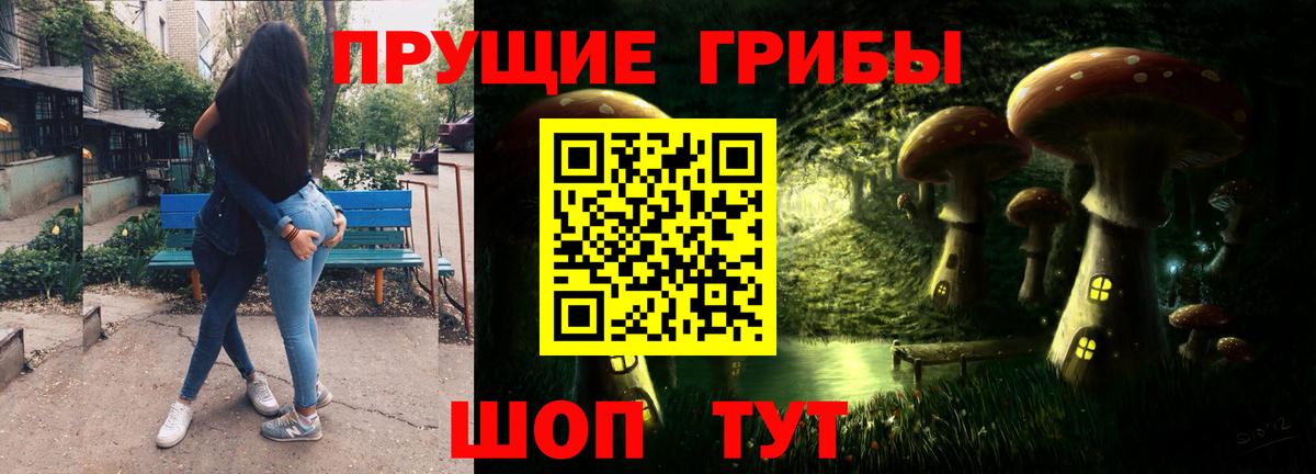 Псилоцибиновые грибы GOLDEN TEACHER Добрянка
